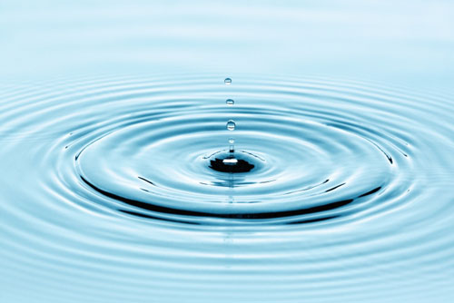 「助かった」その先の絶望を、希望に変える。もみ殻活性炭という「生存の盾」。