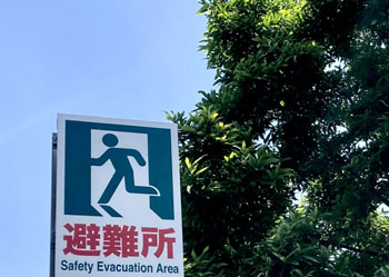 避難所を示す看板